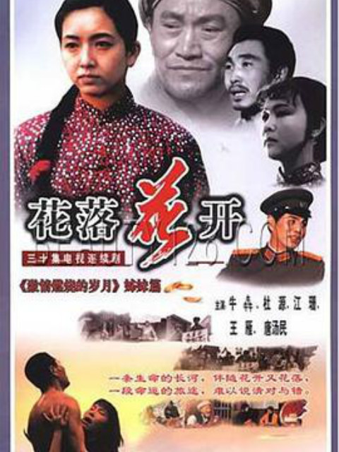 花落花开封面图