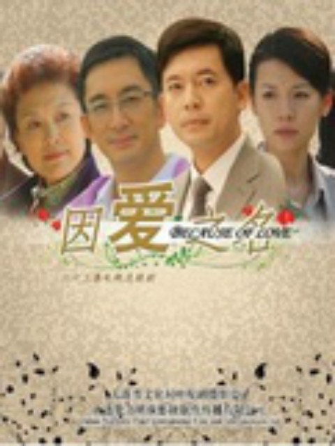 因爱之名封面图