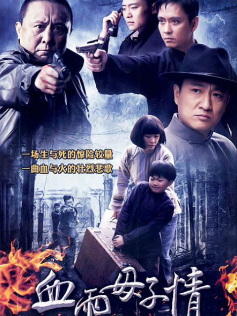 血雨母子情封面图