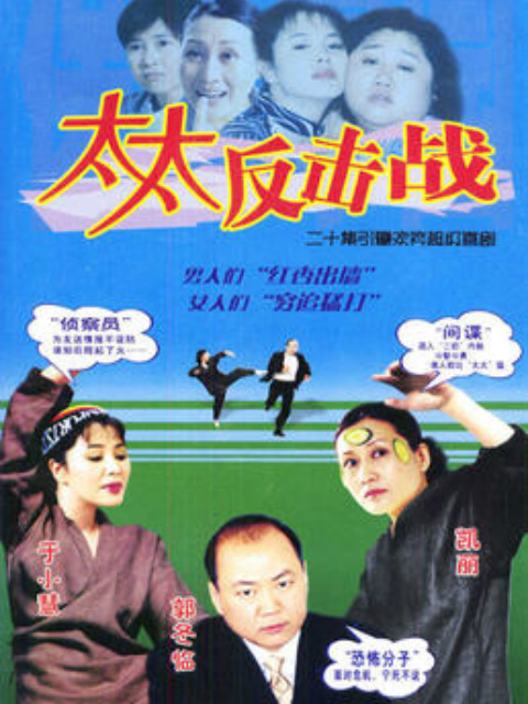 太太反击战封面图
