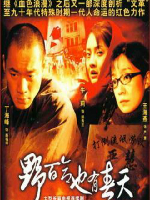 野百合也有春天封面图