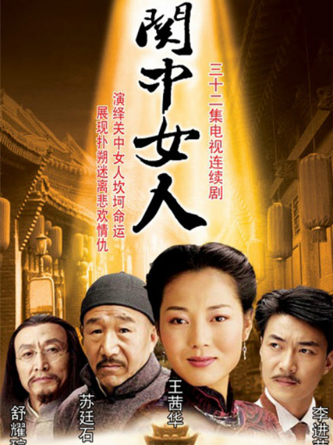 关中女人封面图