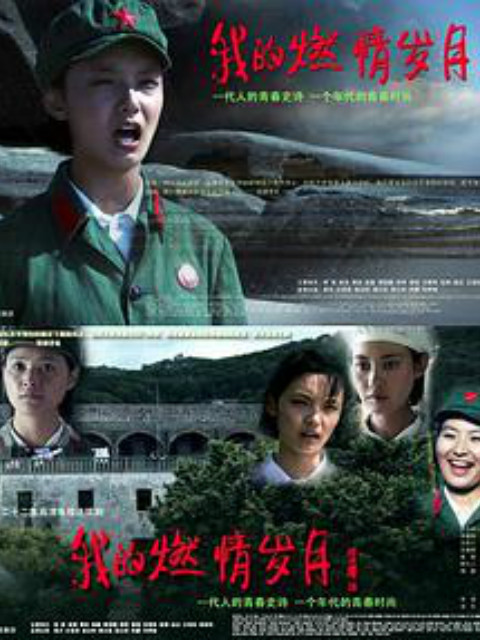 我的燃情岁月封面图