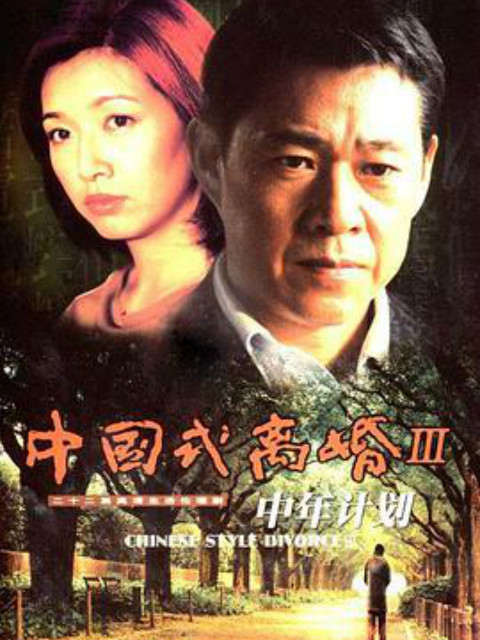 中年计划封面图