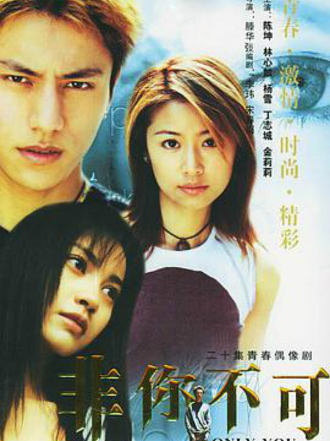 非你不可封面图