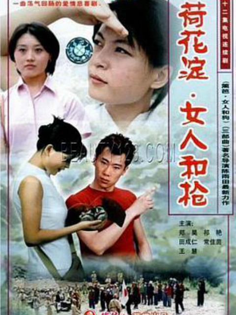 荷花淀:女人和枪封面图