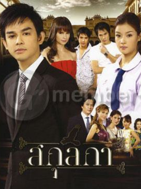 麻雀变凤凰封面图