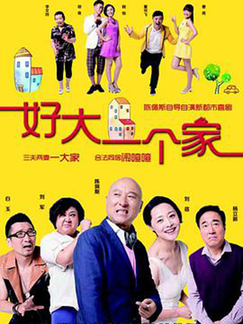 好大一个家封面图