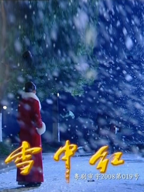 雪中红封面图