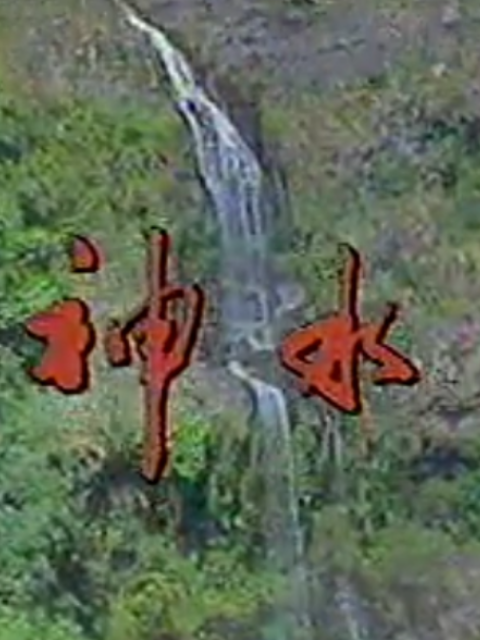 神水奇缘封面图