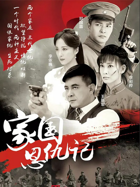 家国恩仇记封面图
