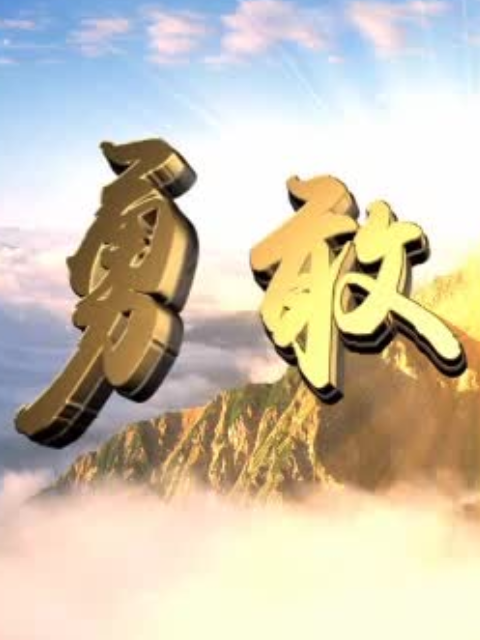 勇敢的心2封面图