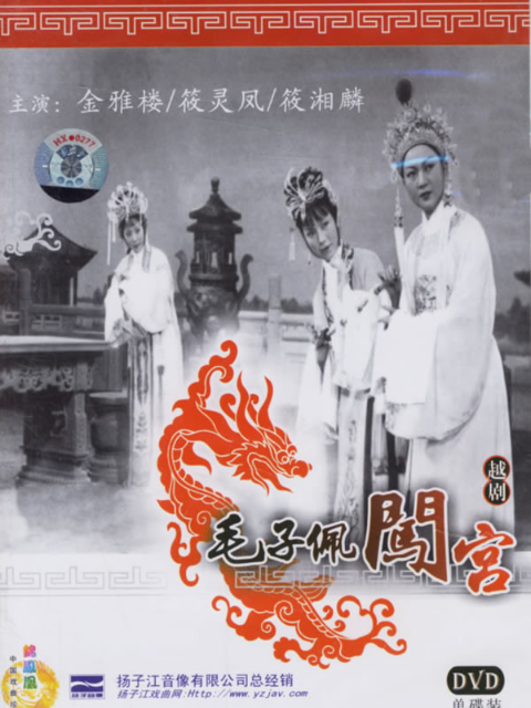 毛子佩闯宫封面图