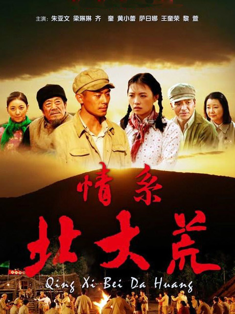 情系北大荒封面图