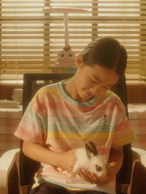 我家来了只兔子封面图