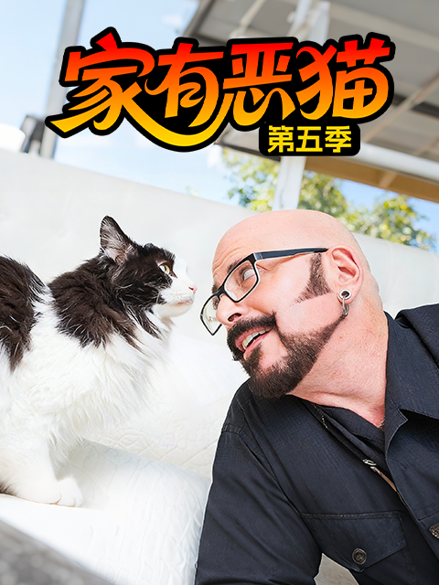 家有恶猫  第五季封面图