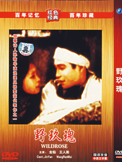 野玫瑰封面图