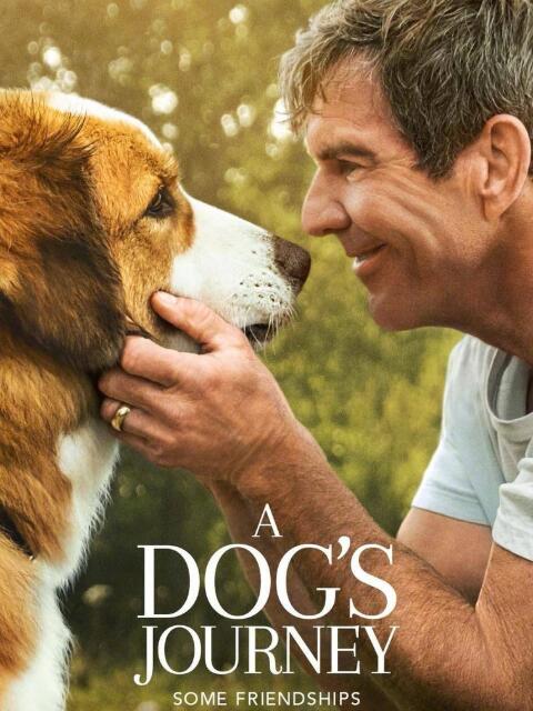 一条狗的使命2封面图