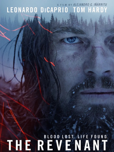 荒野猎人封面图