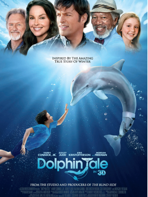 海豚的故事封面图