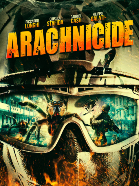 狙击蜘蛛巢封面图