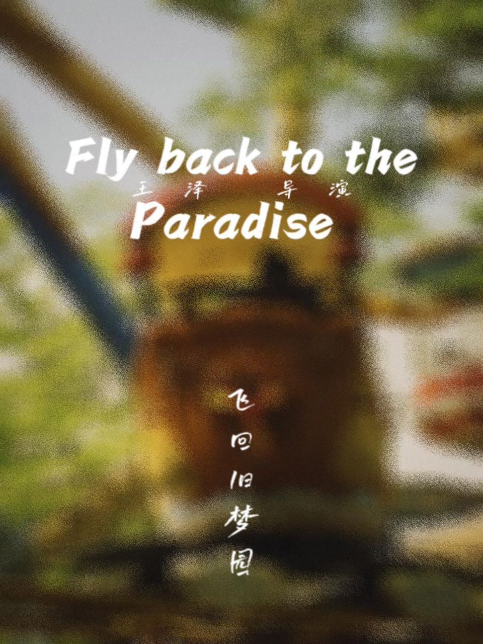 飞回旧梦园封面图