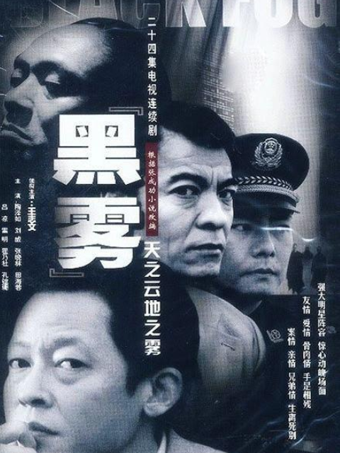 天之云地之雾封面图