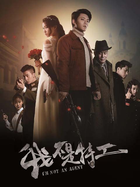 我不是特工封面图