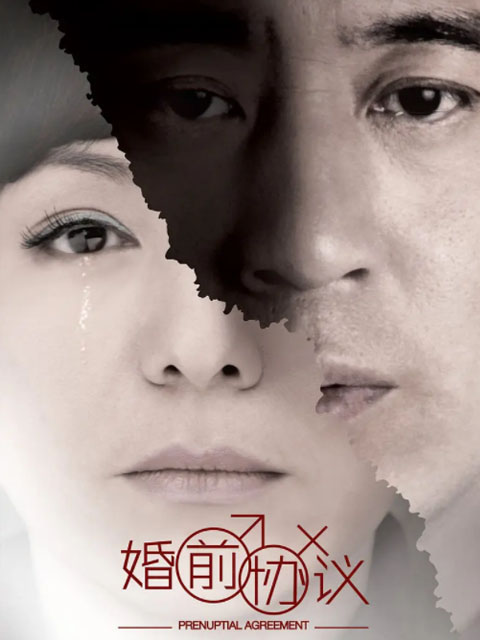婚前协议封面图