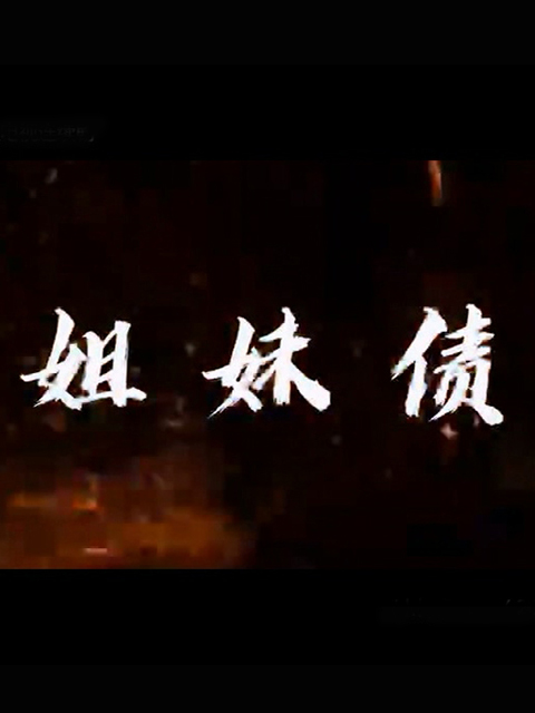 姐妹债封面图