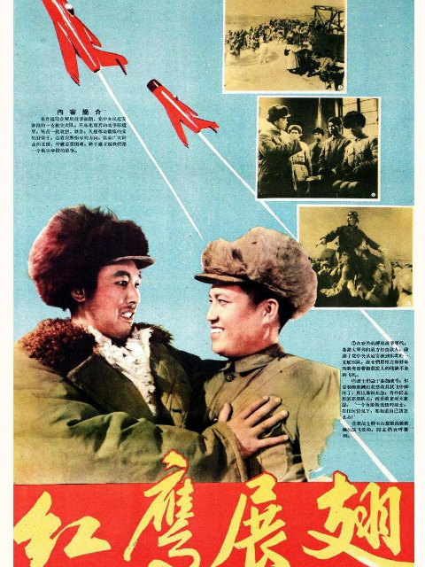 红鹰展翅封面图