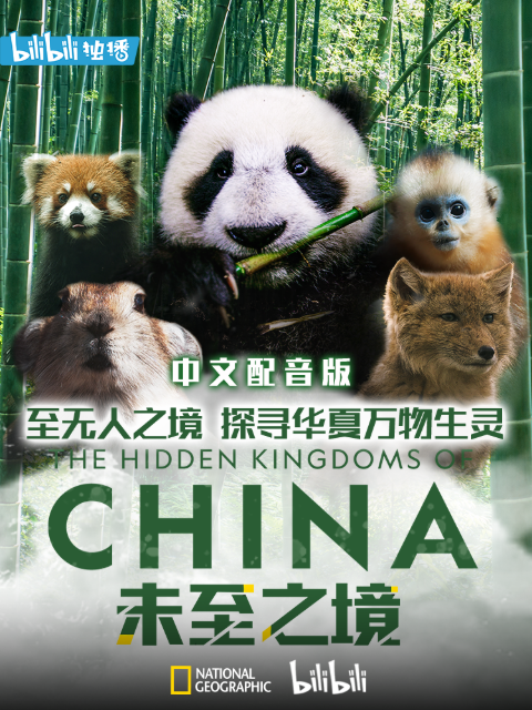 未至之境（中配版）封面图