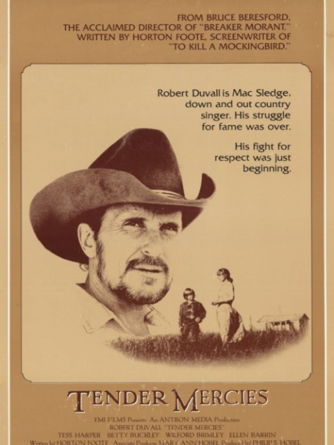 温柔的怜悯封面图