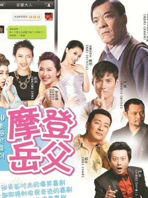 岳父太囧封面图