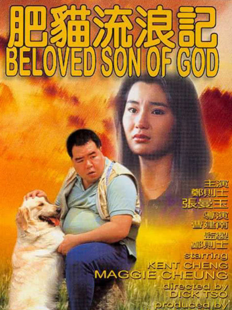 肥猫流浪记封面图