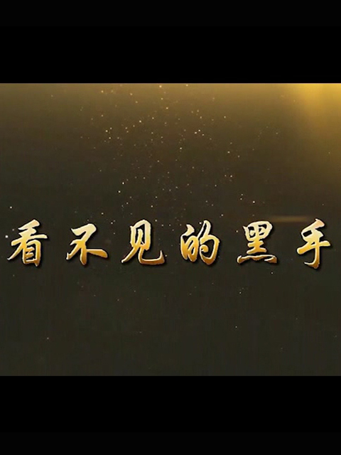 看不见的黑手封面图