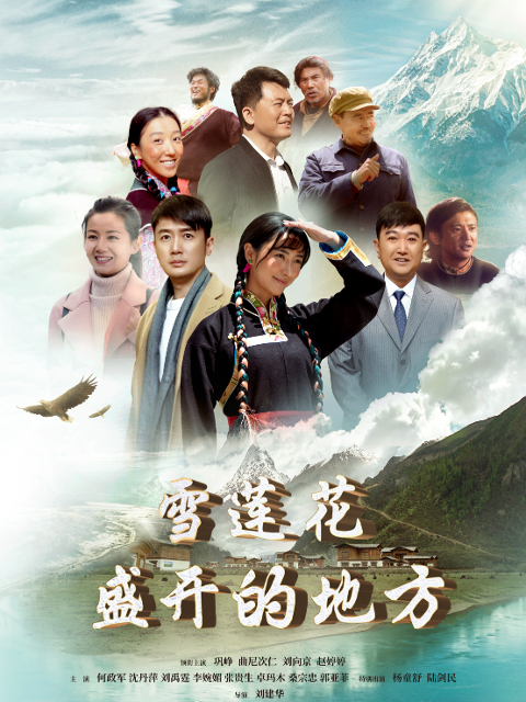 雪莲花盛开的地方封面图