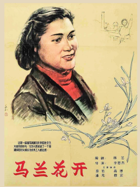 马兰花开封面图