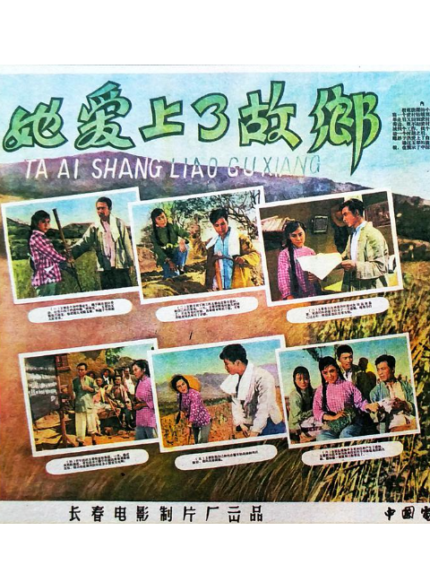 她爱上了故乡封面图