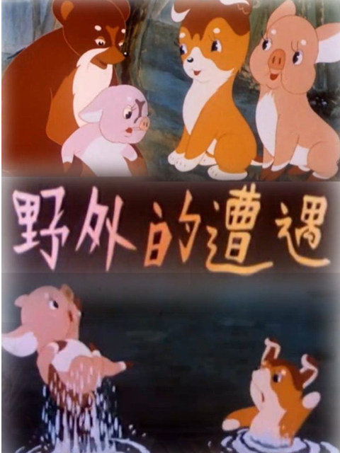 野外的遭遇封面图