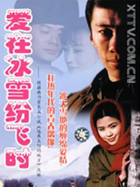 爱在冰雪纷飞时封面图