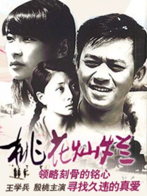 桃花灿烂封面图