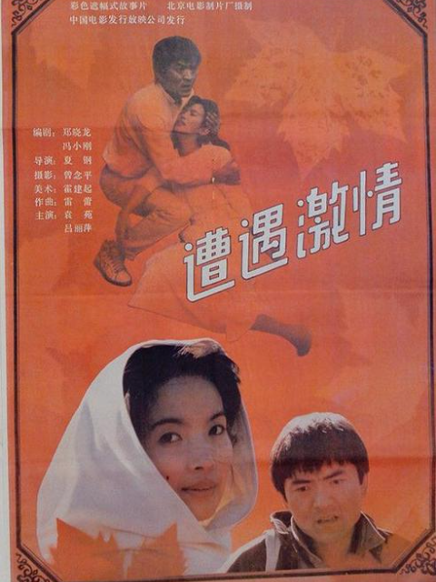 遭遇激情封面图