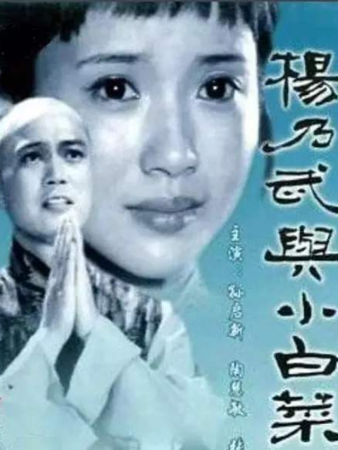 杨乃武与小白菜封面图