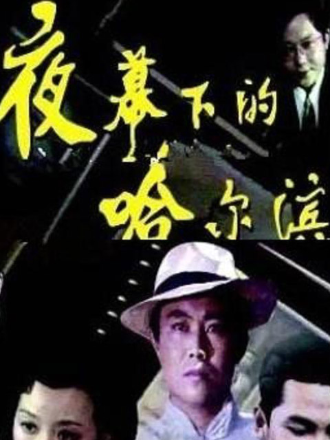 夜幕下的哈尔滨封面图