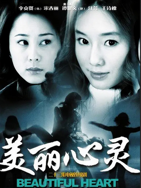 美丽心灵封面图