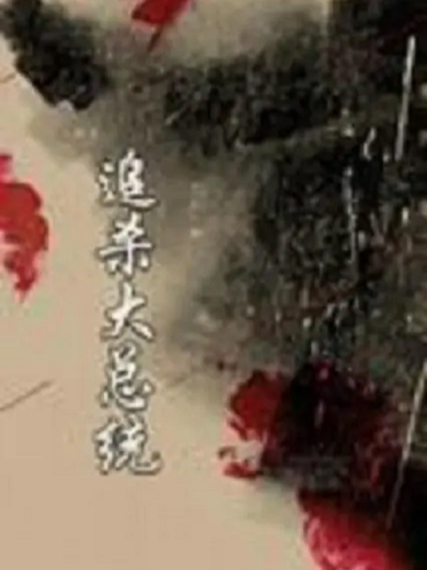 追杀大总统封面图