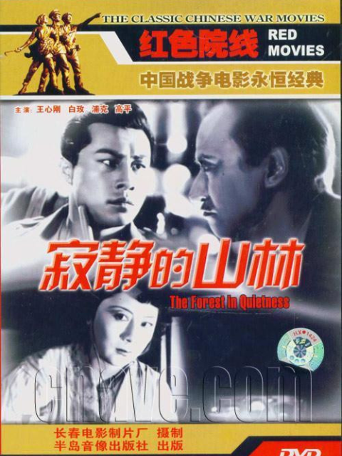 寂静的山林封面图