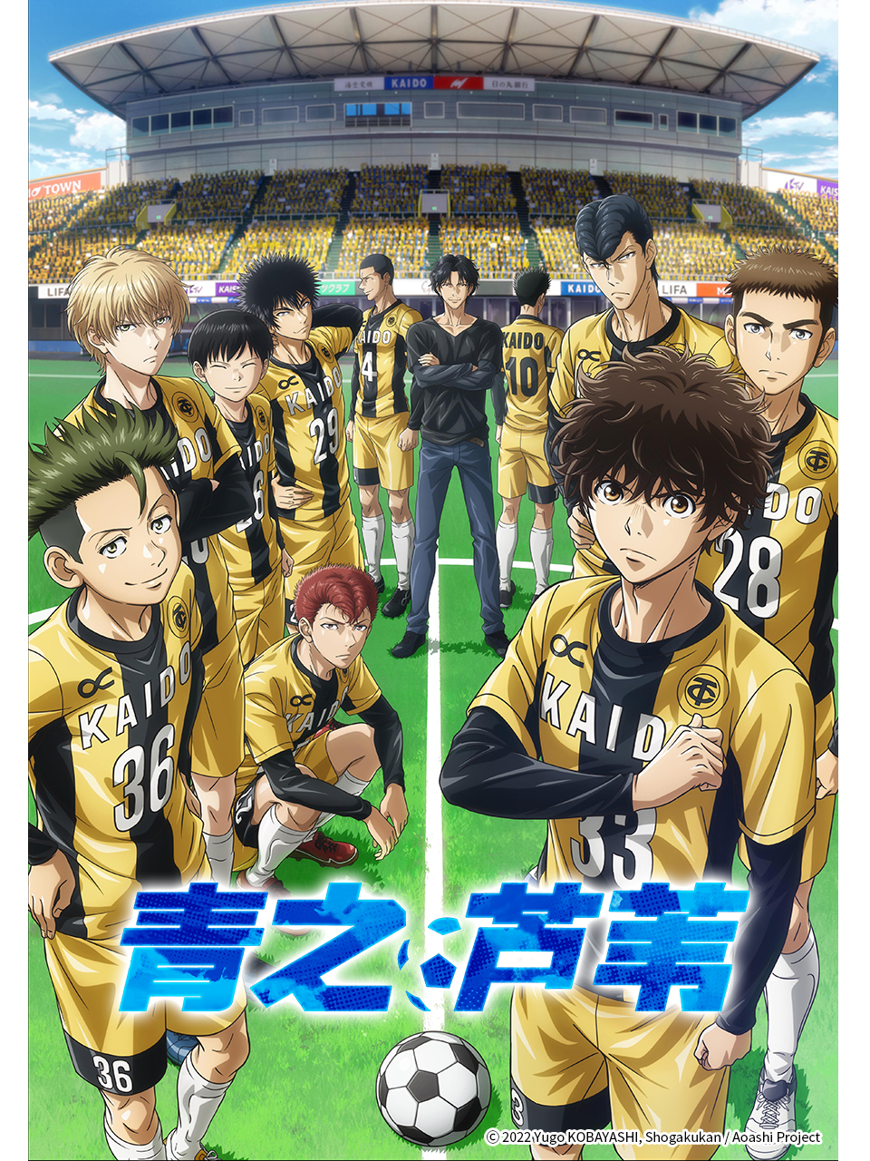 青之芦苇封面图