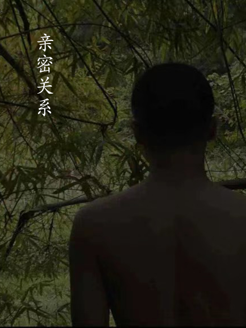 亲密关系封面图